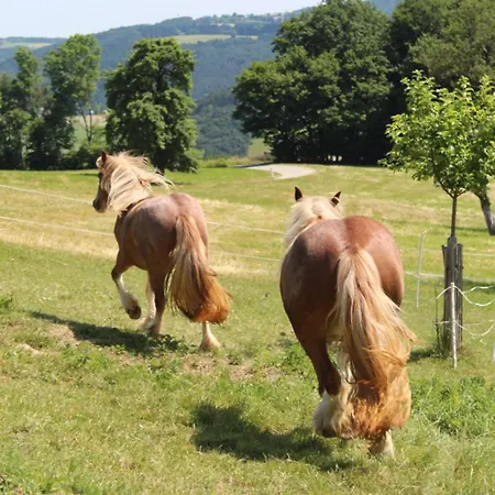 アパート Impuls Hof - Unterhegerberg