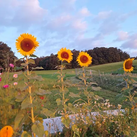 Impuls Hof - Unterhegerberg *