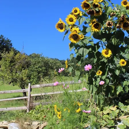 Impuls Hof - Unterhegerberg アパート *