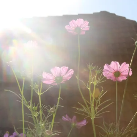 アパート Impuls Hof - Unterhegerberg