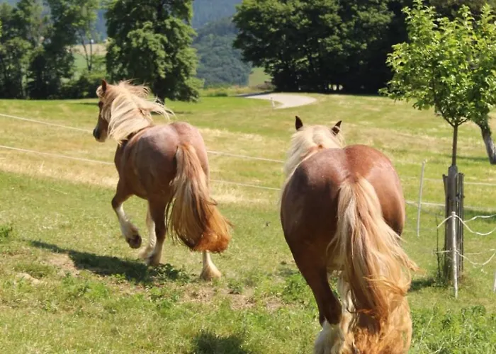 Apartman Impuls Hof - Unterhegerberg