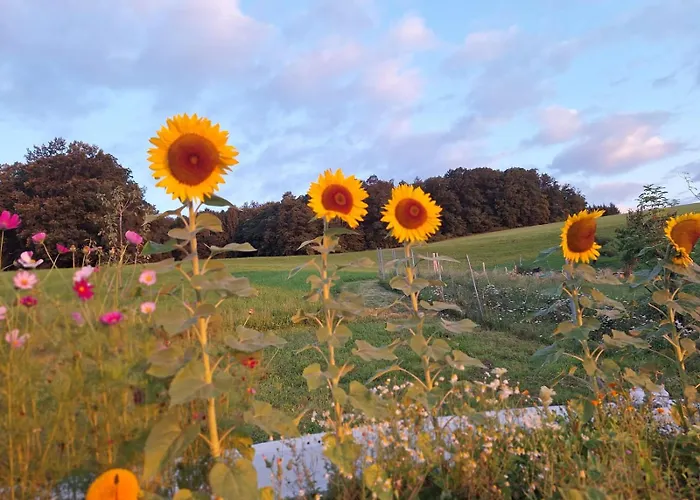 Impuls Hof - Unterhegerberg *