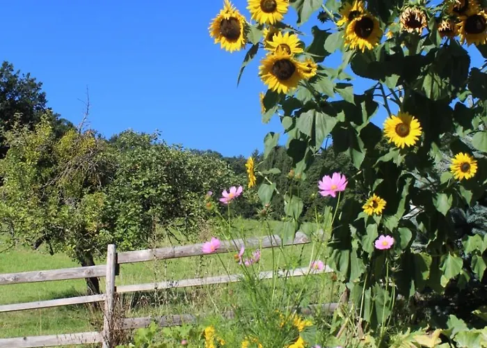 Impuls Hof - Unterhegerberg Apartman *