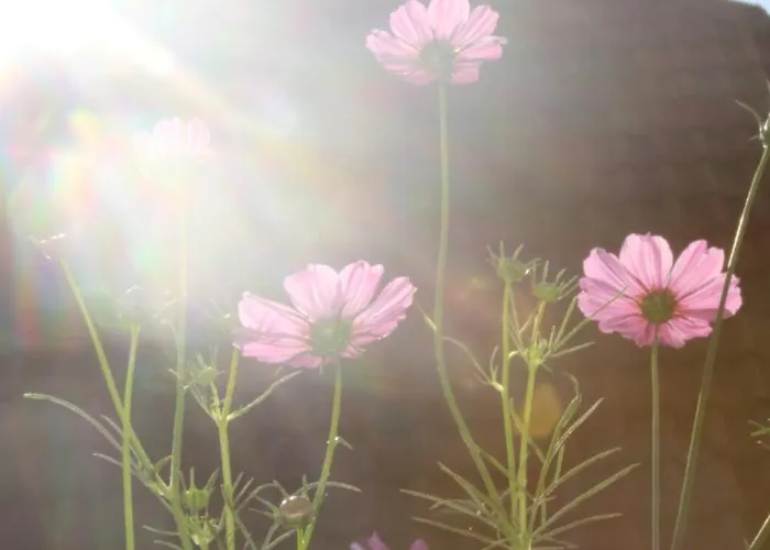 Apartman Impuls Hof - Unterhegerberg