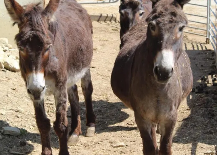 Impuls Hof - Unterhegerberg *